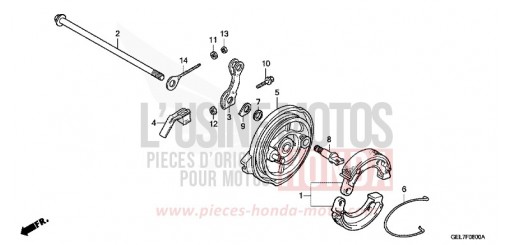 BREMSPLATTE, HINTEN CRF50FD de 2013